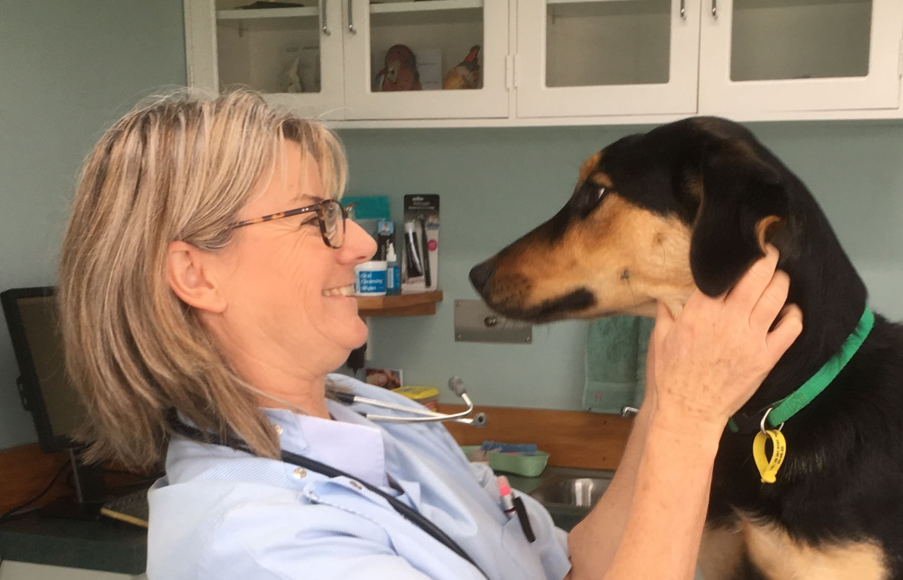 Home | The Pet Doctors